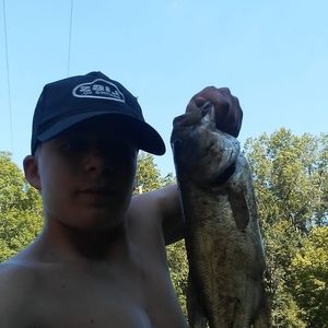 Meet your Posher, Cody